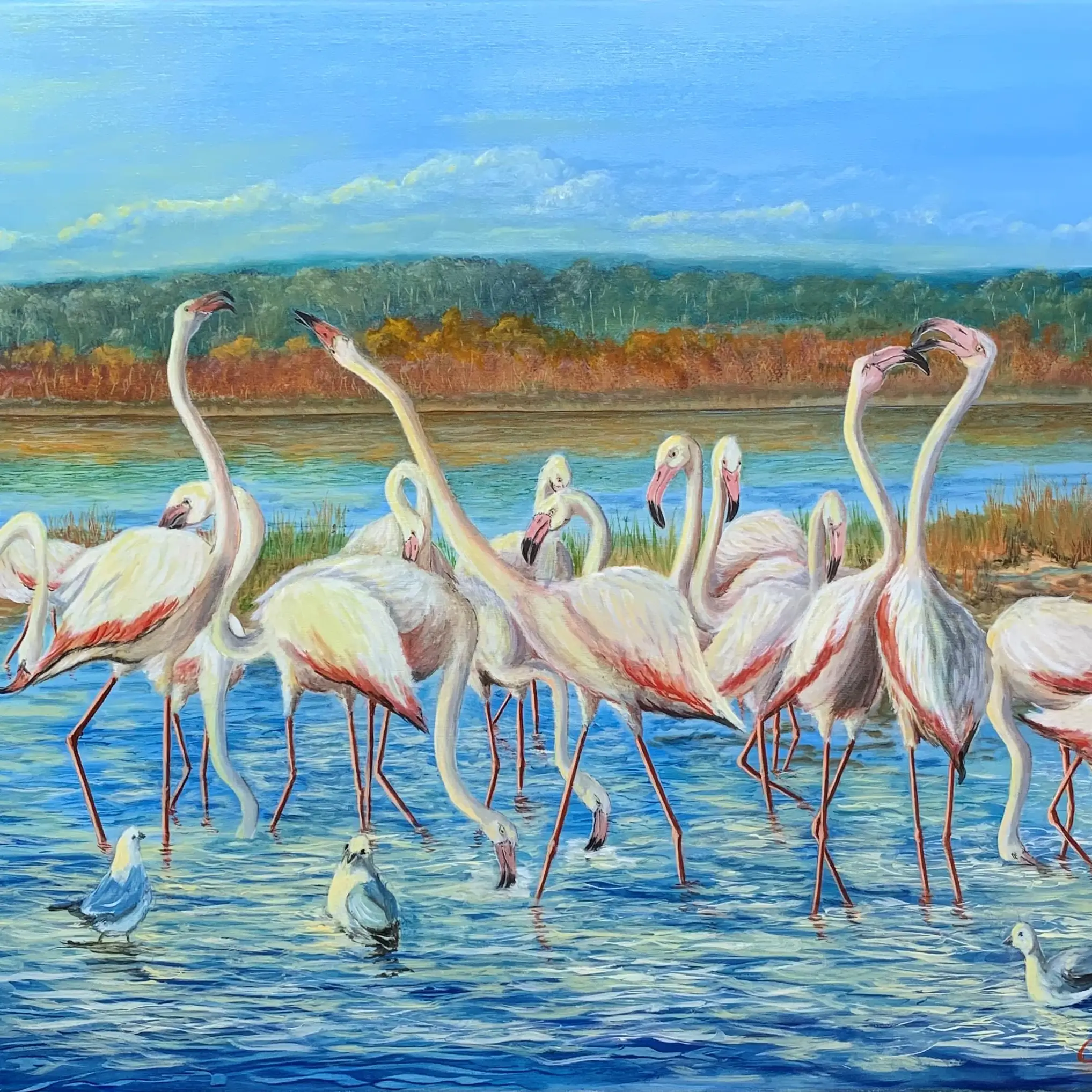 Flamingos 2