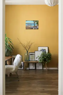 Life's Outlook on julia-60SnthS09Ao-unsplash.webp