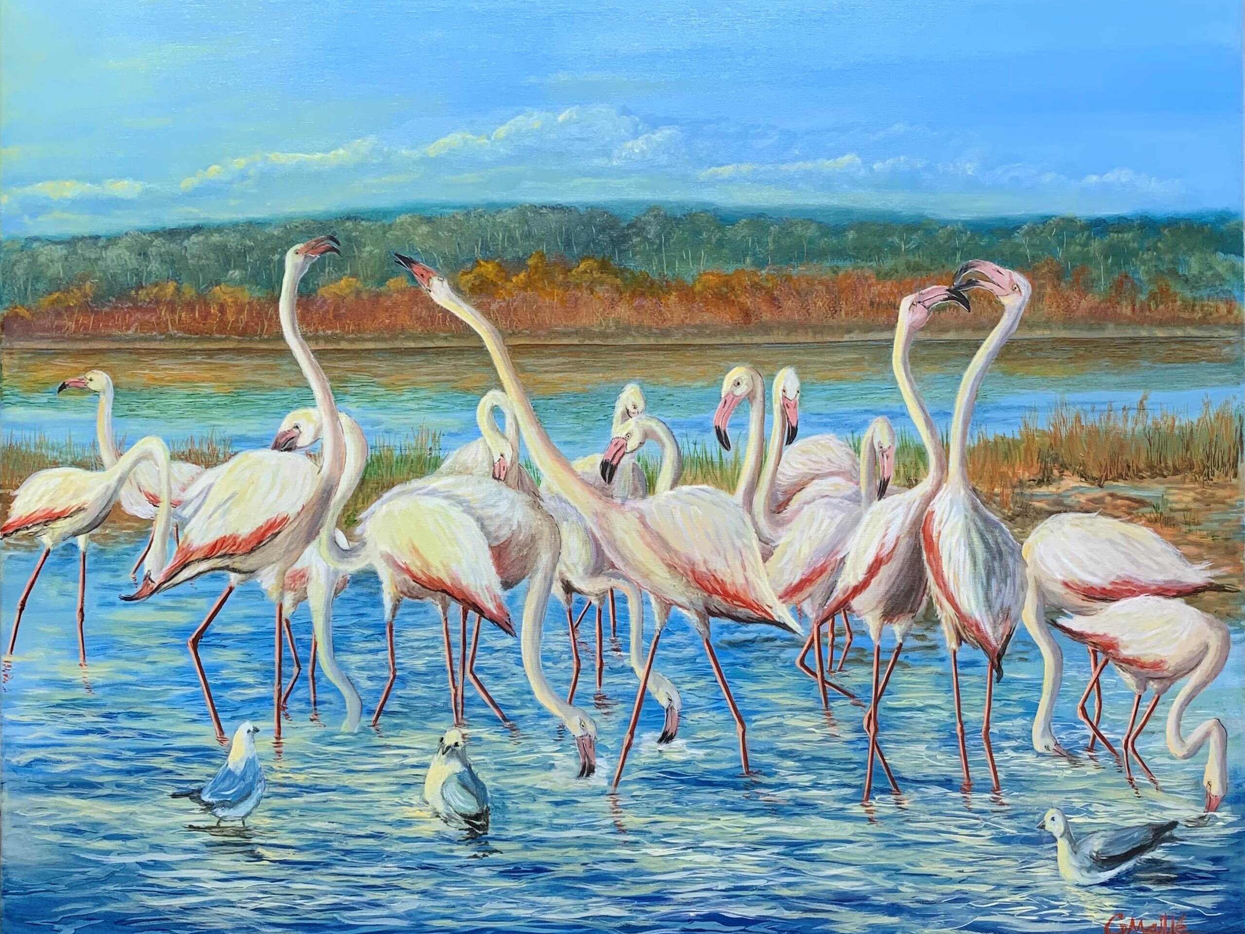 Flamingos 2