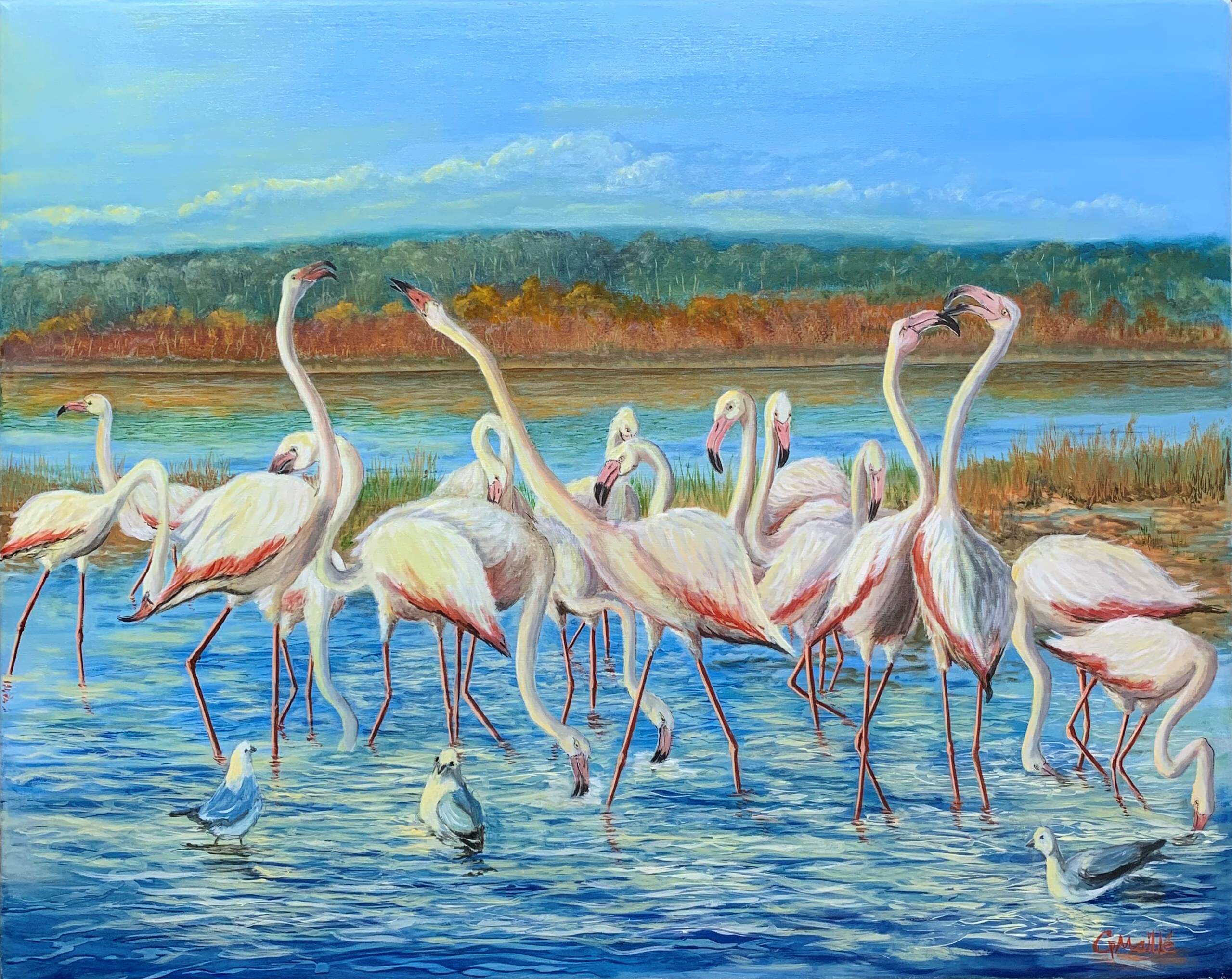 Flamingos 2